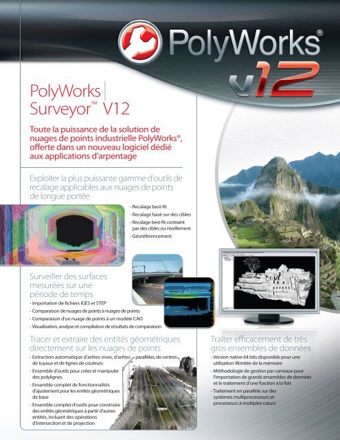 PolyWorks/Surveyor V12