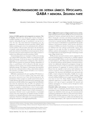 neurotransmisores del sistema lÃ­mbico. hipocampo. gaba y memoria ...