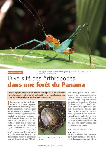 Diversité des Arthropodes dans une forêt du Panama / Insectes n° 133
