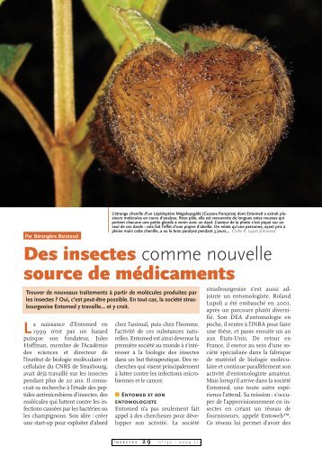 Insectes nouvelle source de médicaments / Insectes n° 132