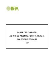 CAHIER DES CHARGES : ACHATS DE PRODUITS, REACTIF ... - Inra