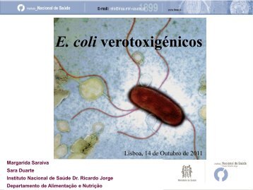 E. coli - Instituto Nacional de SaÃºde Dr. Ricardo Jorge