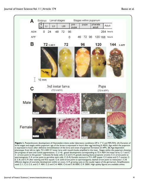 Download free PDF - Journal of Insect Science