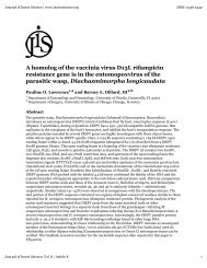 A homolog of the vaccinia virus D13L rifampicin resistance gene is ...