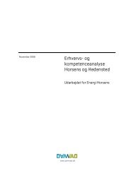 Erhvervs- og kompetenceanalyse Horsens og ... - Insero Horsens