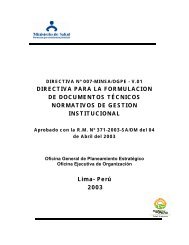 DIRECTIVA PARA LA FORMULACION DE DOCUMENTOS ...