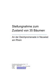 Stellungnahme zum Zustand von 35 Bäumen