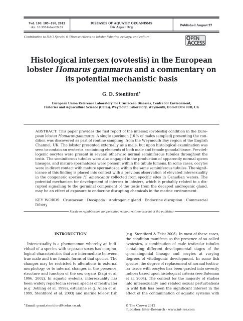 Histological intersex (ovotestis) in the European lobster Homarus ...