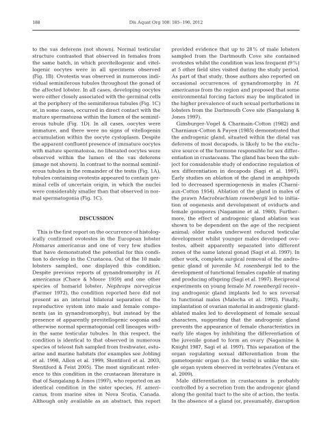 Histological intersex (ovotestis) in the European lobster Homarus ...