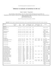 Influence of animals on turbulence in the sea