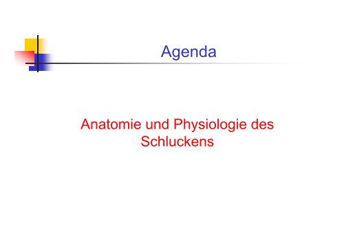 Diagnose und Therapie neurologisch bedingter SchluckstÃ¶rungen