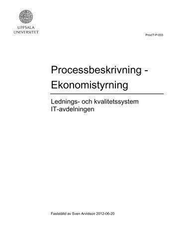 Ekonomistyrningsprocessen - Uppsala universitet