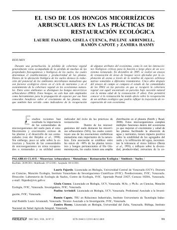 el uso de los hongos micorrÃ­zicos arbusculares en las ... - Interciencia