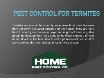Termite Control Lexington | Pest control for termites