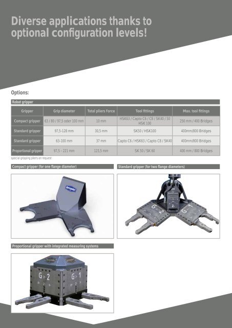 PDF ( 2.65 MB) - Demmeler Maschinenbau GmbH & Co. KG