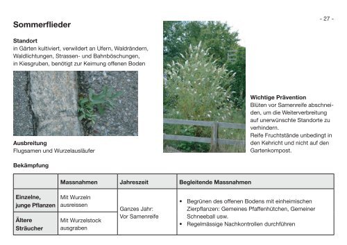 Praxishilfe Neophyten - Interkantonales Labor