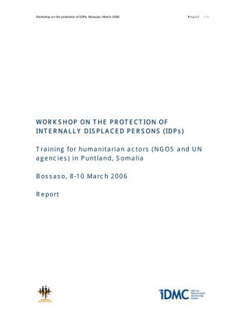 Download report - Internal Displacement Monitoring Centre