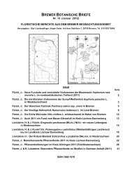 Bremer Botanische Briefe 13 - Chemie - Internetchemie.info