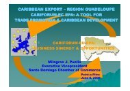 Statement by Mrs. Milagros Puello - Interreg-caraibes.org