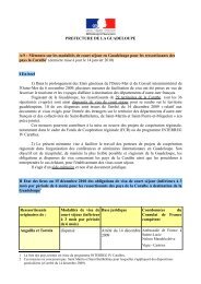 Mémento sur les modalités de court séjour en Guadeloupe pour les ...