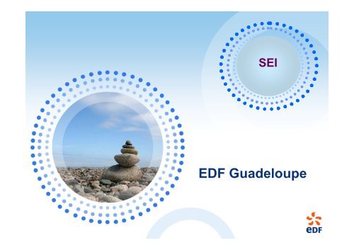 EDF Guadeloupe - Interreg-caraibes.org
