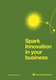 Spark Innovation in your business - IntertradeIreland