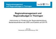 Regionalmanagement und Regionalbudget in Thüringen, Dirk Otto