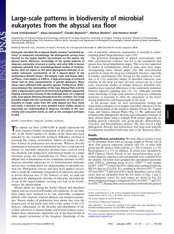 Large-scale patterns in biodiversity of microbial eukaryotes from the ...