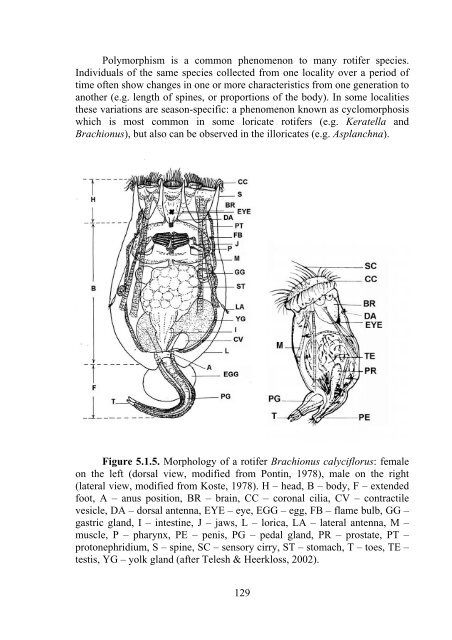 Zooplankton of the open Baltic: Extended Atlas - IOW