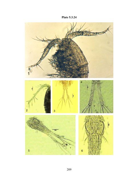 Zooplankton of the open Baltic: Extended Atlas - IOW