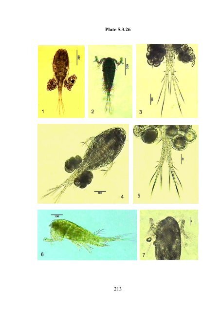 Zooplankton of the open Baltic: Extended Atlas - IOW
