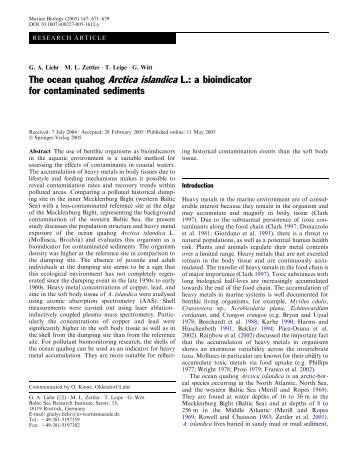 The ocean quahog Arctica islandica L.: a bioindicator