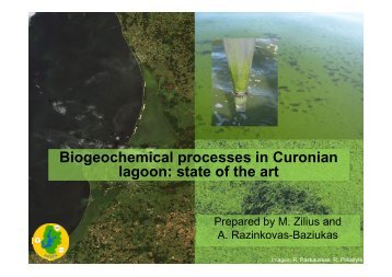 Biogeochemical processes in Curonian lagoon: state of the art