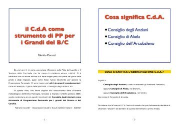 Agesci: Il Consiglio degli Anziani e i Grandi del Branco Cerchio