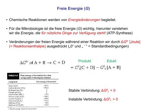 Vorlesung 5 - Redox