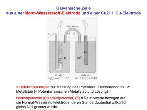 Vorlesung 5 - Redox