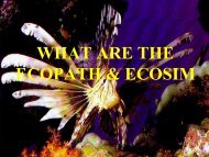 What are the ECOPATH/ECOSIM? (A. RazinkovasâBaziukas)