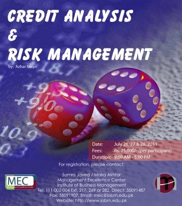 Credit Analysis and Risk Management - Institute of Business ...