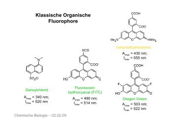 Klassische Organische Fluorophore