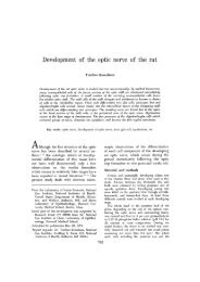 Development of the optic nerve of the rat - Investigative ...