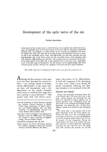 Development of the optic nerve of the rat - Investigative ...