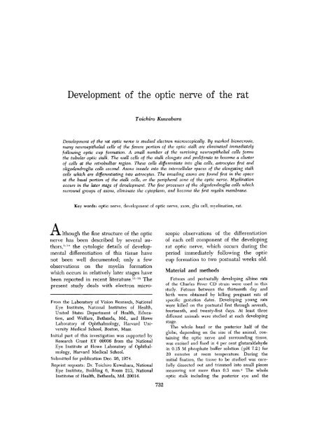 Development of the optic nerve of the rat - Investigative ...