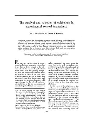 The survival and rejection of epithelium in experimental corneal ...