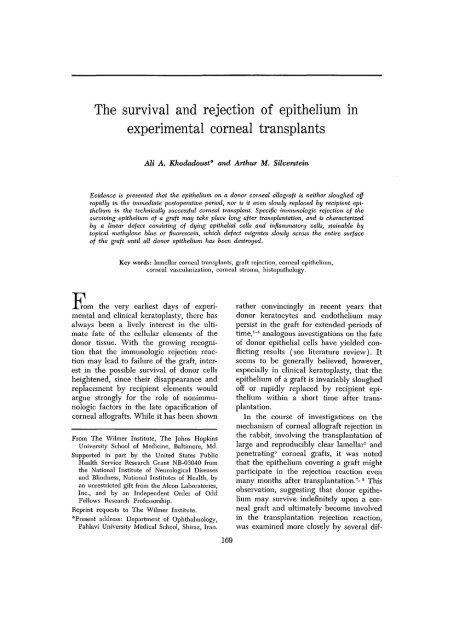 The survival and rejection of epithelium in experimental corneal ...