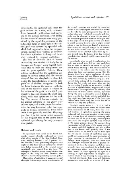 The survival and rejection of epithelium in experimental corneal ...