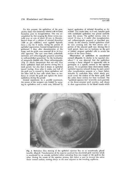 The survival and rejection of epithelium in experimental corneal ...
