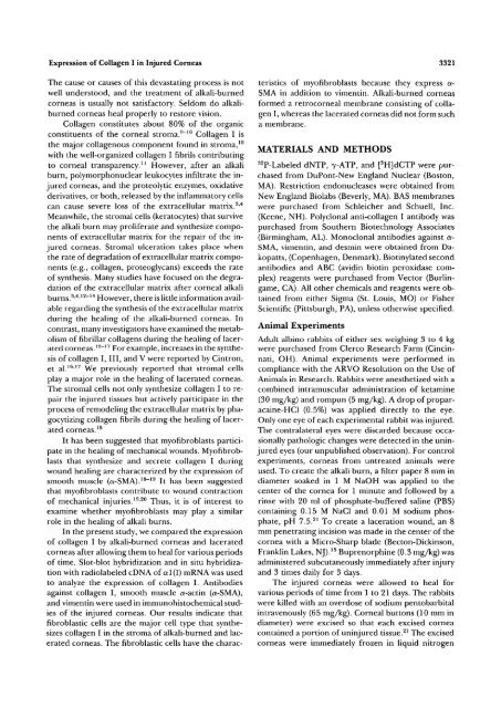 Expression of Collagen I, Smooth Muscle a-Actin, and Vimentin ...