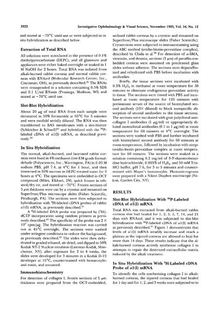 Expression of Collagen I, Smooth Muscle a-Actin, and Vimentin ...