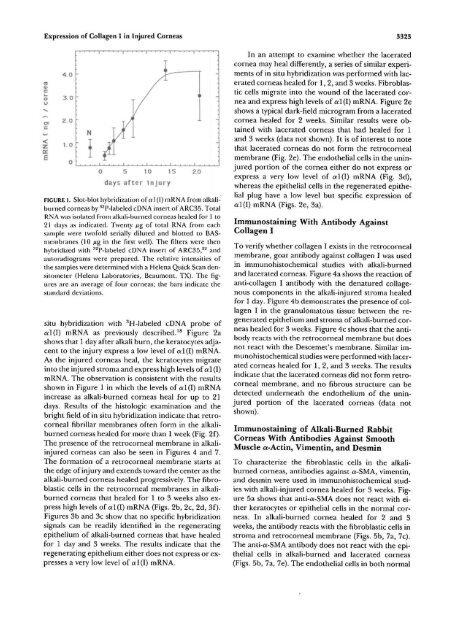 Expression of Collagen I, Smooth Muscle a-Actin, and Vimentin ...