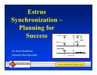 Estrus Synchronization – Planning for Success - Applied ...